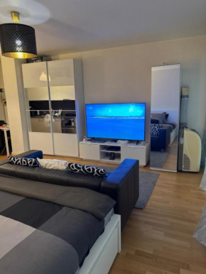 Apartamento Ginebra ch